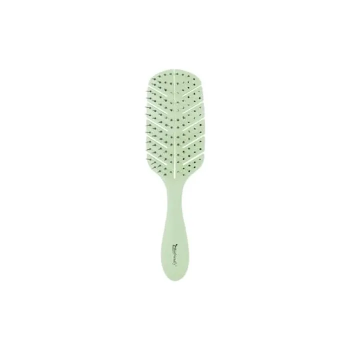 Bifull Biodegradable Biofriendly Disc Brush Black Standard