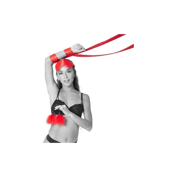 Sportsheets Sm Amor Bondage Beginner Kit Red 143cm