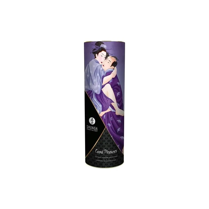 Shunga Carnal Pleasures Kit