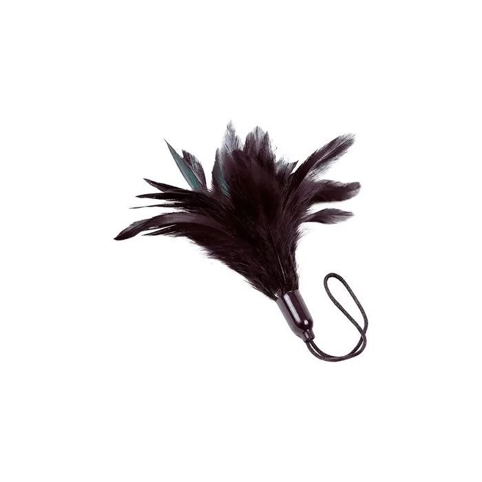 Adrien Lastic Prestige Black Feather Duster