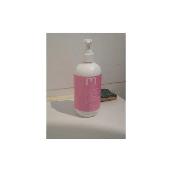 Patrice Mulato Flow'air Protective Shampoo For Colored Or Highlighted Hair