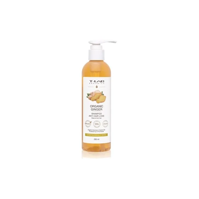Tlab Organics Organic Ginger Anti Hair Loss Shampoo Hair Care Shampoo Size Ml