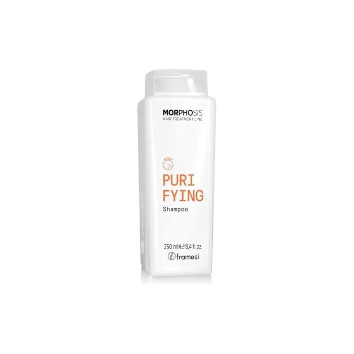 Framesi New Morphosis Hair Treatment Line Purifying Shampoo 250ml
