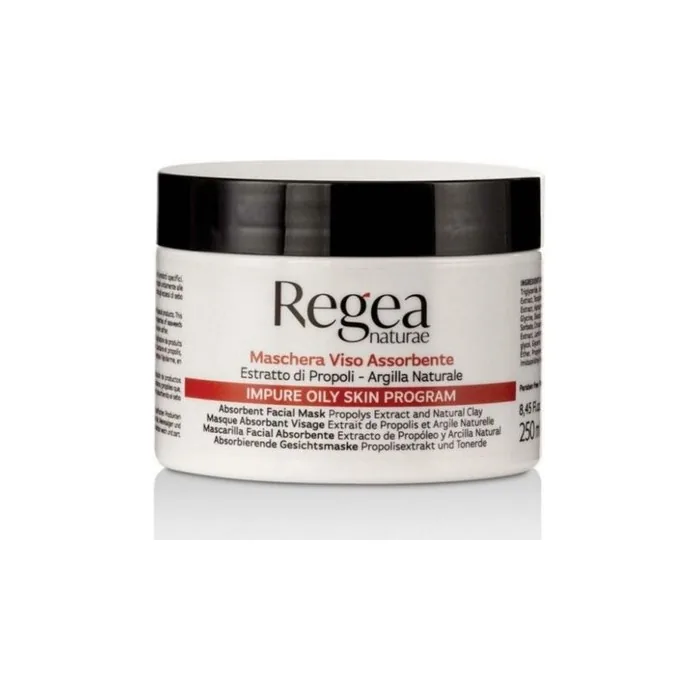 Regea Natura Face Absorbent Mask 250ml for Estheticians