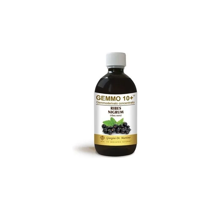 Dr. Giorgini Dietary Supplement Concentrated Blackcurrant Gemmoderivative Liquid