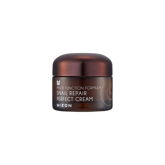 Mizon Snail Repair Perfect Cream 50 Ml Face Cream With 60 Snail Secretion Filtrate For Problematic Skin
