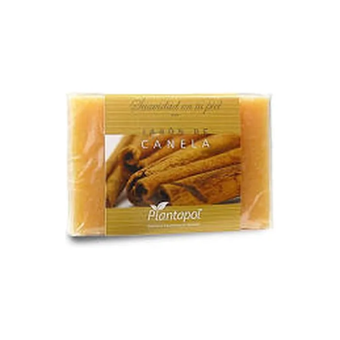 Planta Pol Jabon Canela 100G