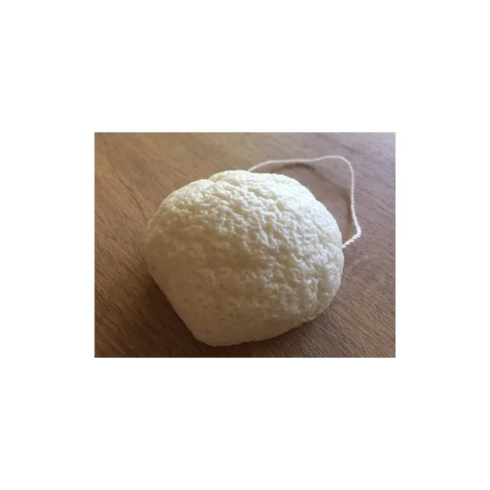 Hydrophil Conjac Sponge