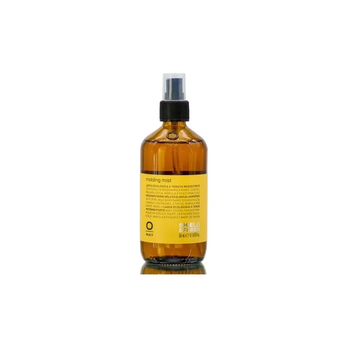 Oway Molding Mist 8.1 oz