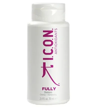 Icon Fully 70 Ml Hair Styling Product