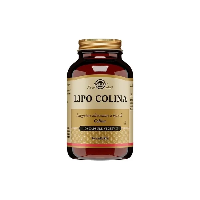 Solgar Lipo Cholin Liver Function 100 Plant Capsules