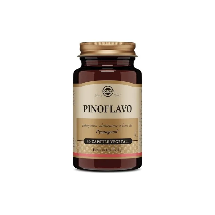 Solgar Pinoflavo