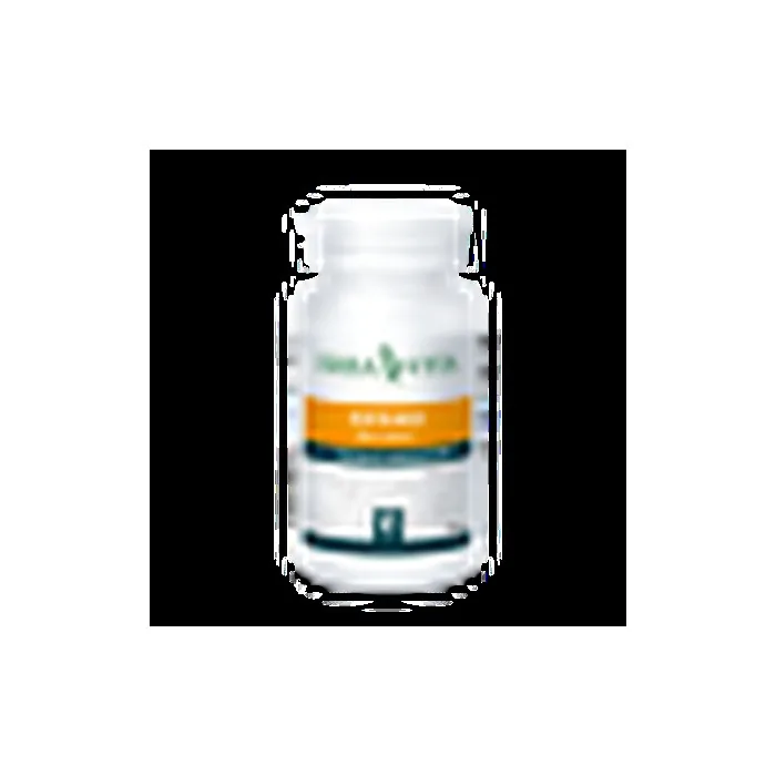 ErbaVita Garlic Oil Dietary Supplement 100 Pearls