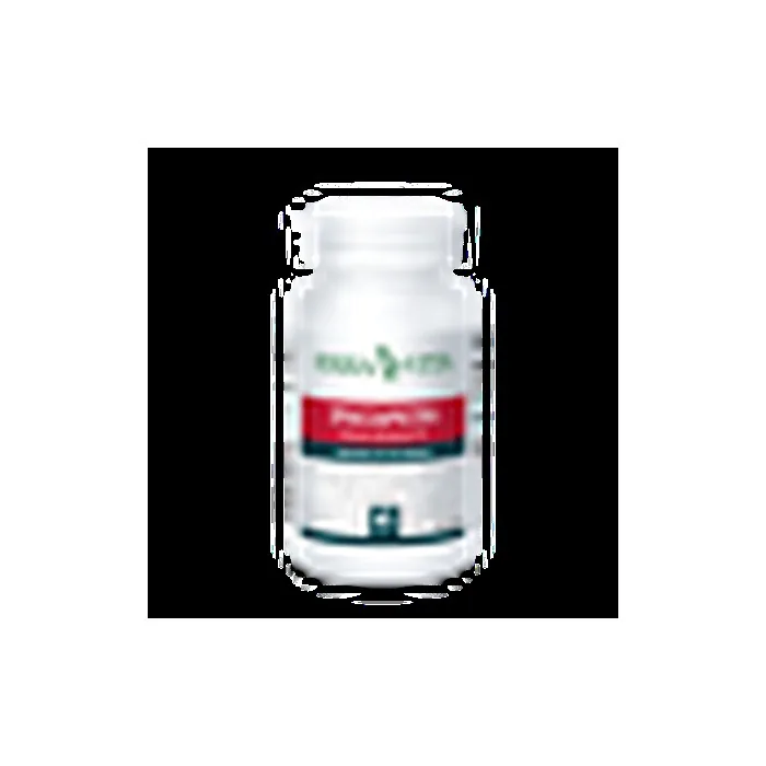 Steinbrecher Erba Vita 60 Capsules