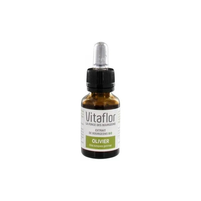Vitaflor Organic Olive Tree Bud Extract Dietary Supplement 15ml