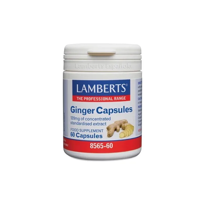Lamberts Lamberts Ginger Extract Ginger 60 Capsules