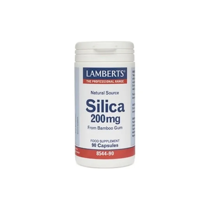 Lamberts Silica 200mg 90 Capsules
