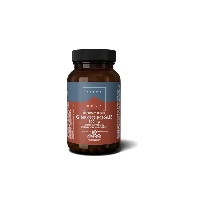 Terranova Ginkgo Leaf Cognitive Function Support 500mg 50 Capsules