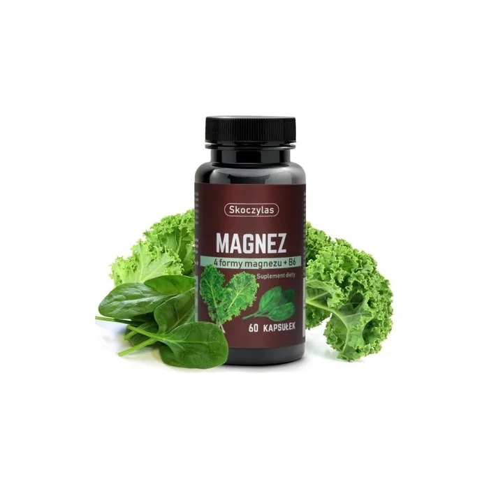 Skoczylas Magnesium 60 Capsules