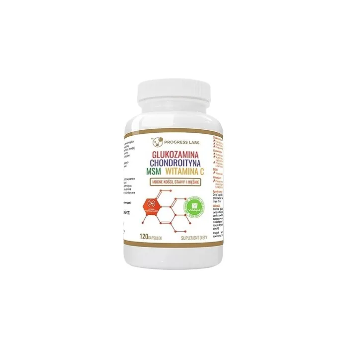 Progress Labs Glucosamine + Chondroitin + Msm + Vitamin C Dietary Supplement 120 Capsules