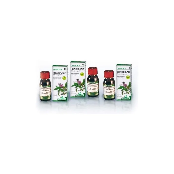 Specchiasol Gemmosol Horse Chestnut Food Supplement 50ml