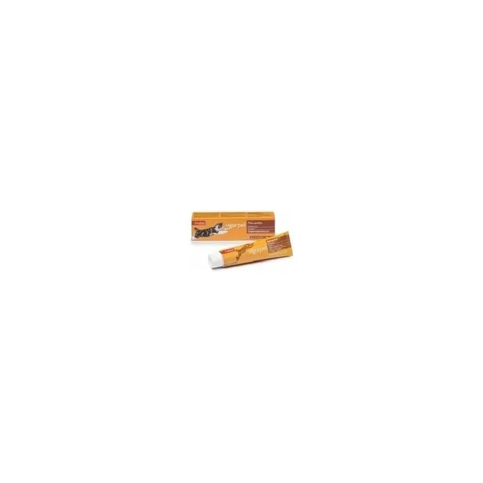 Candioli Pharmaceuticals Vigorpet Cat Paste Tube 50 Grams