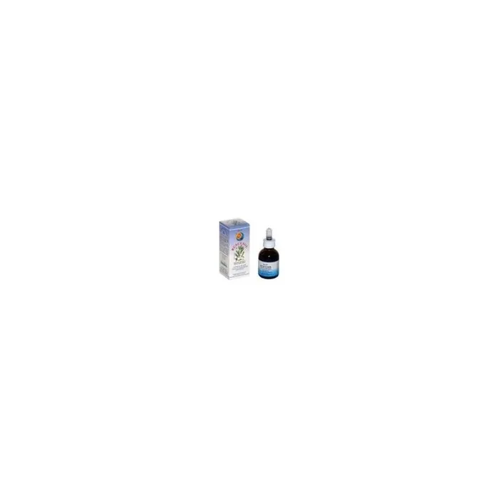Herboplanet Joint Supplement Ruscusol Liquid 50ml