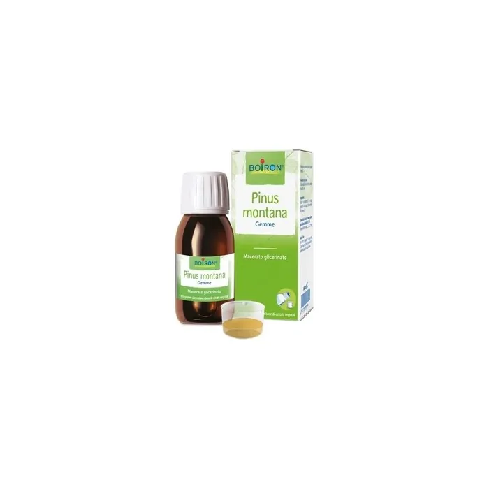 Boiron Pinus Montana Magnesium 60 Milliliters