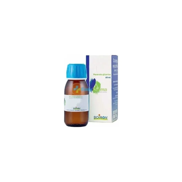 Boiron Rubus Idaeus Young Shoots Dietary Supplement 60 Milliliters