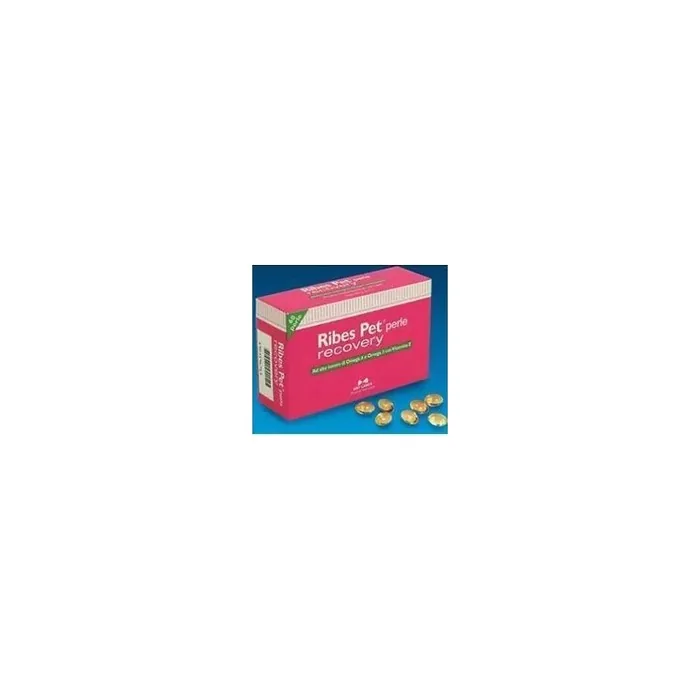 Nbf Lanes Srl Ribes Pet Recovery Blister 60 Pearls