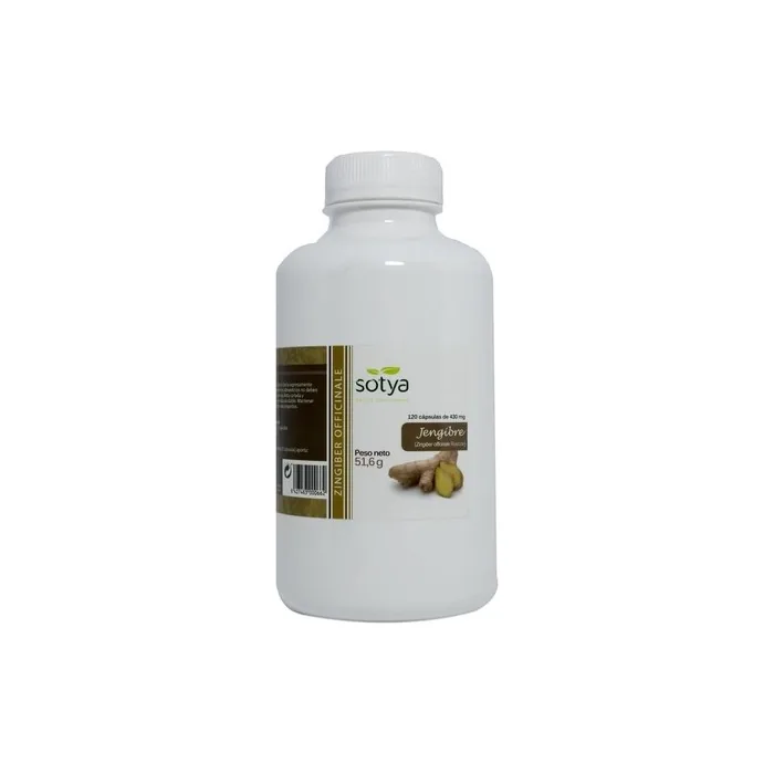 Ginger Herbal Supplement 120 Capsules