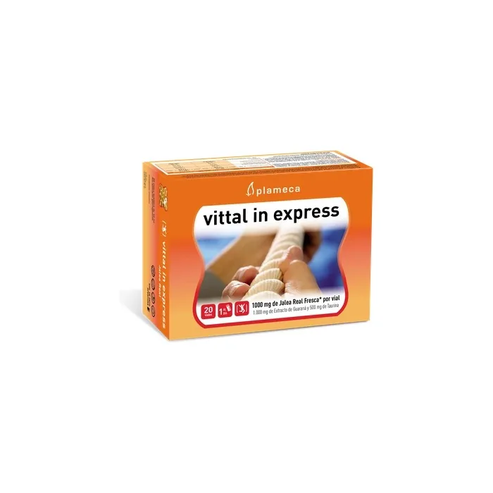 Plameca Plameca Vittal In Express