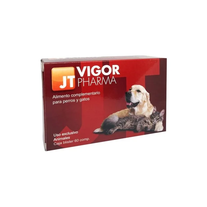 Jt Vigor Pharma 60 Capsules