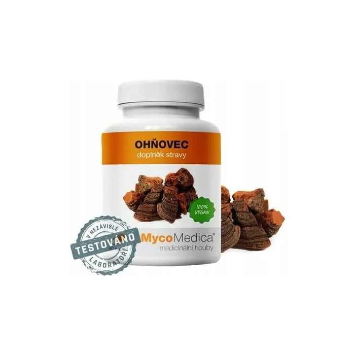 Mycomedica Phellinus Linteus Joints Skin 90 Capsules
