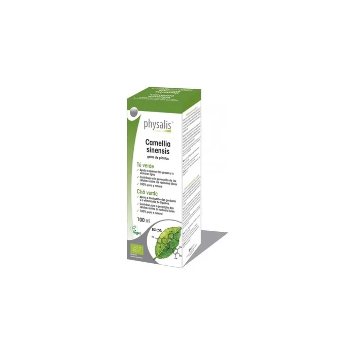 Physalis Organic Hydroalcoholic Green Tea Extract 100ml