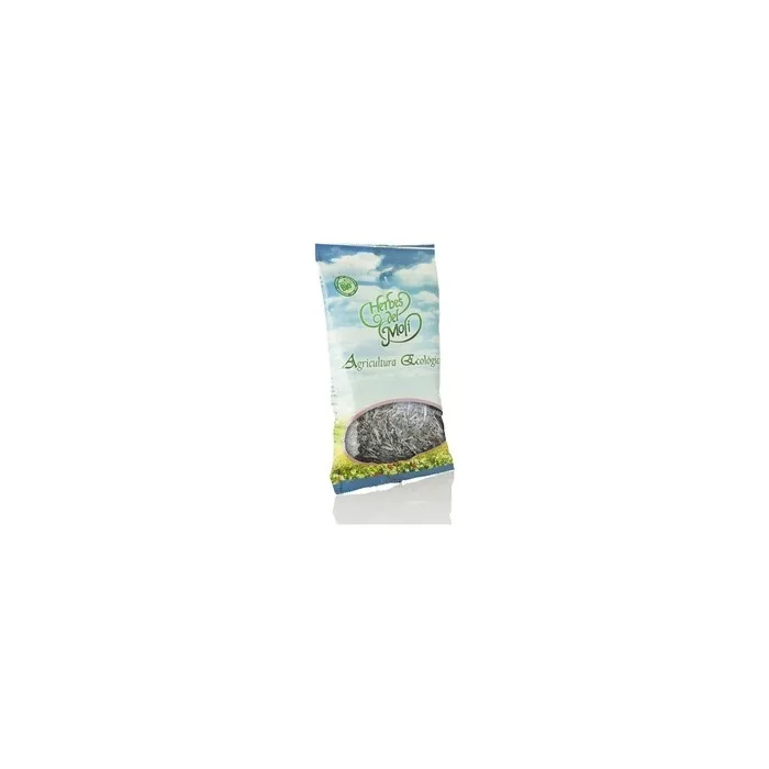 Herbes Del Moli Peppermint Plant Organic 40g