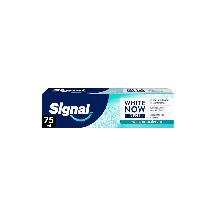 Signal White Now 3 in 1 Toothpaste Longlasting Whitening Antistain 96g