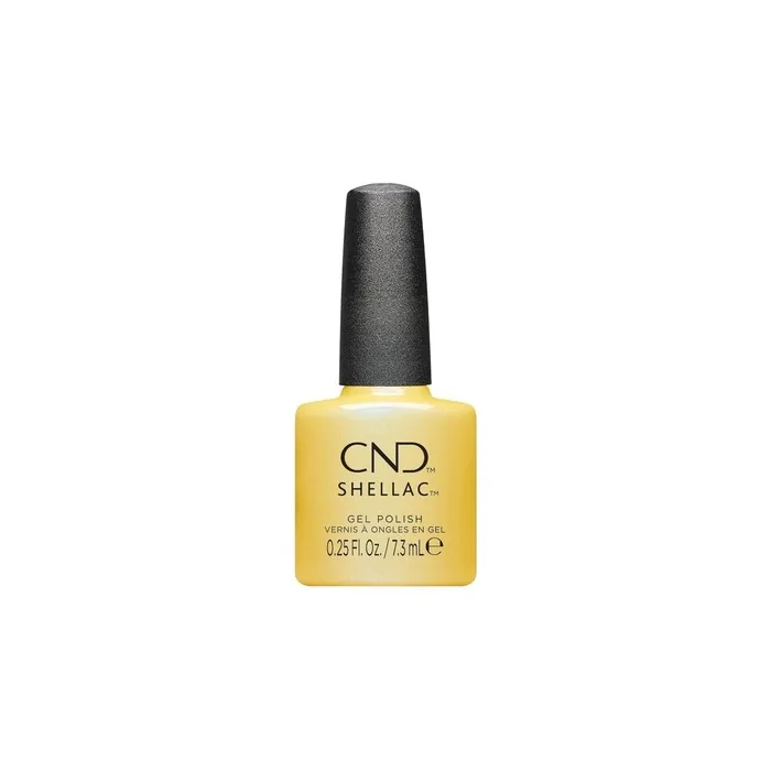 Shellac Char-Truth #466