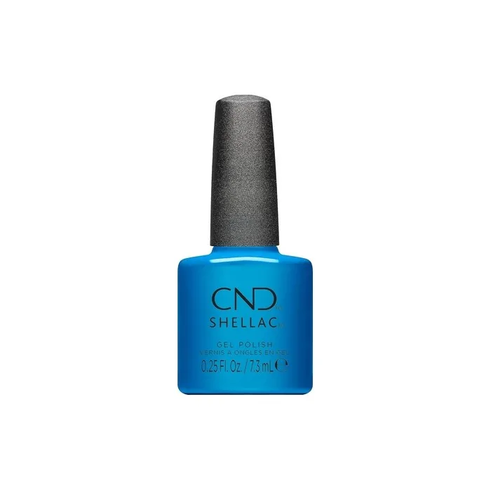 Shellac What's Old Is Blue Again