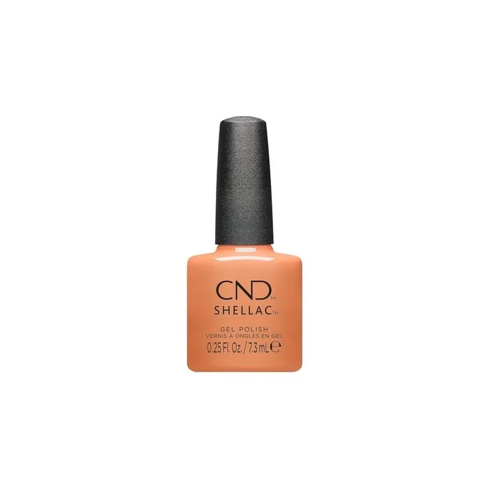 Shellac Daydreaming #465