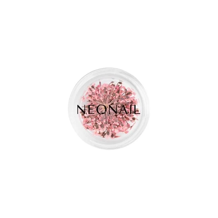 Neonail The Muse In You Collection - Nail Polish