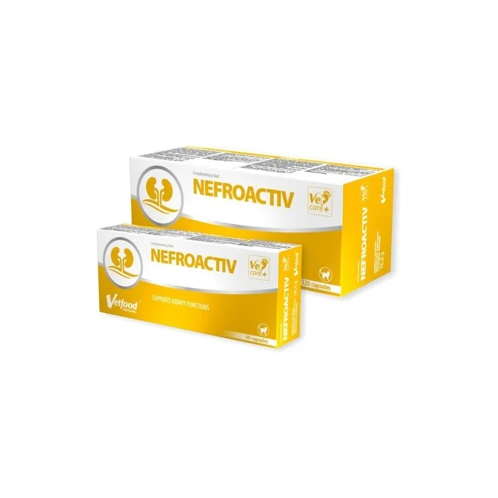Nefroactiv 120 Tablets