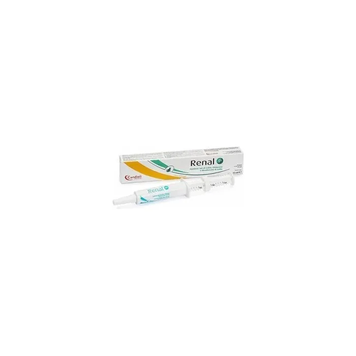 Candioli Pharmaceuticals Renal P Pasta Syringe Dosage 15 Milliliters