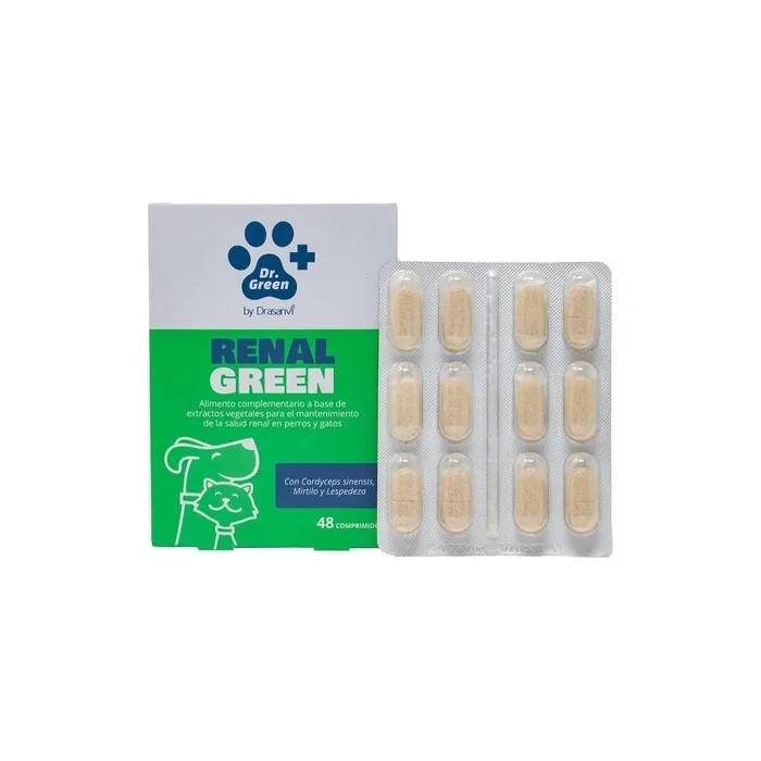 Renalgreen 48 Tablets By Dr Green