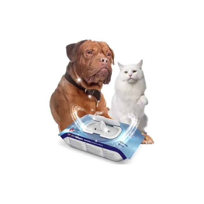 Clx Wipes - 40 Pieces