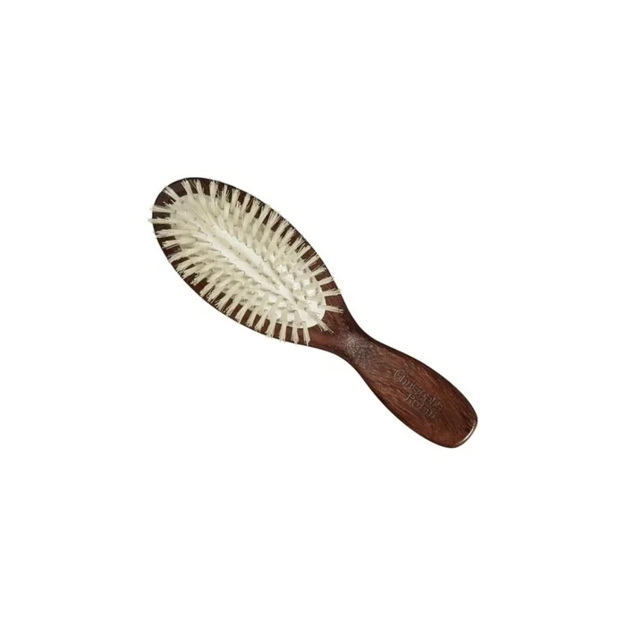 Christophe Robin 100 Natural Hair Brush